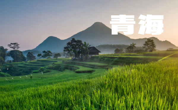 2025年青海省高考报名时间及方式查询：青海高报