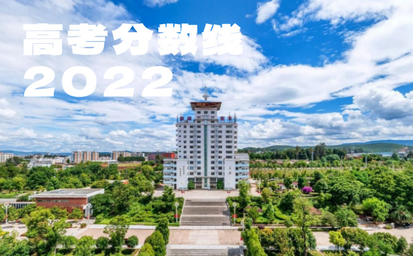 2024年云南高考分数线