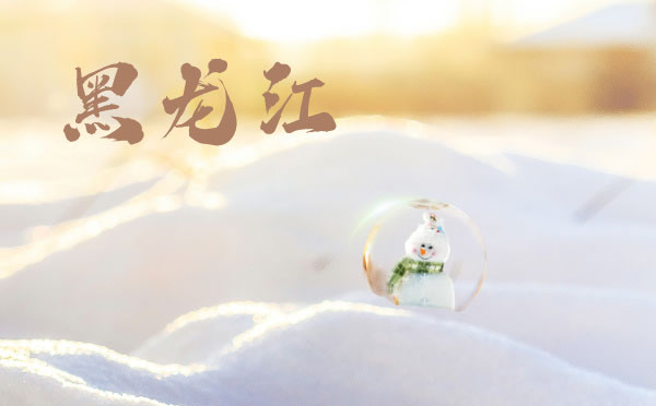黑龙江高考录取结果查询时间