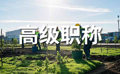 高级职称怎么评 高级工程师职称