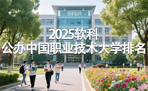 2025公办中国职业技术大学排名
