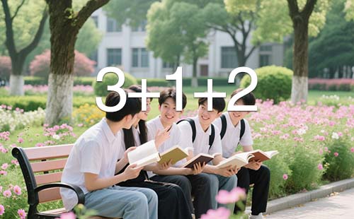 3+1+2 新高考